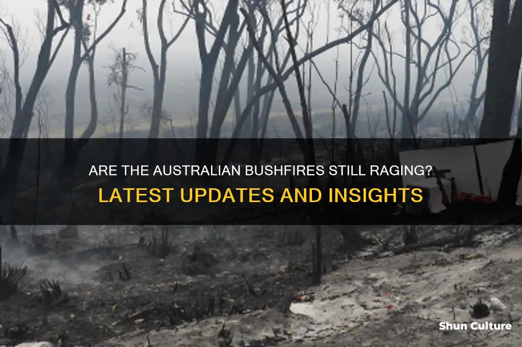 are the australian bushfires still going