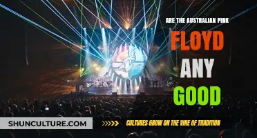 Australian Pink Floyd: Tribute or Travesty?