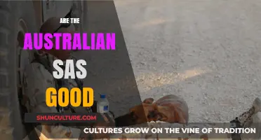 Australian SAS: Elite, Tough, and the Best?