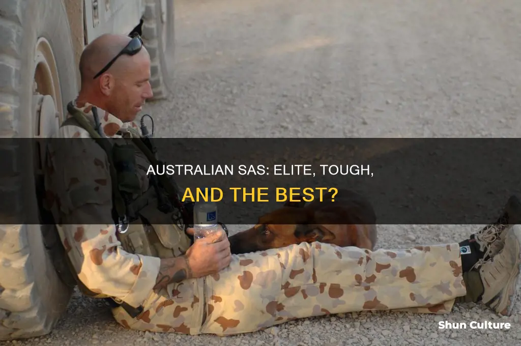 are the australian sas good