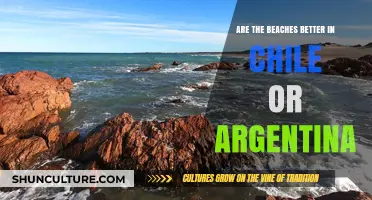 Exploring Coastal Paradises: Chile vs. Argentina Beach Showdown