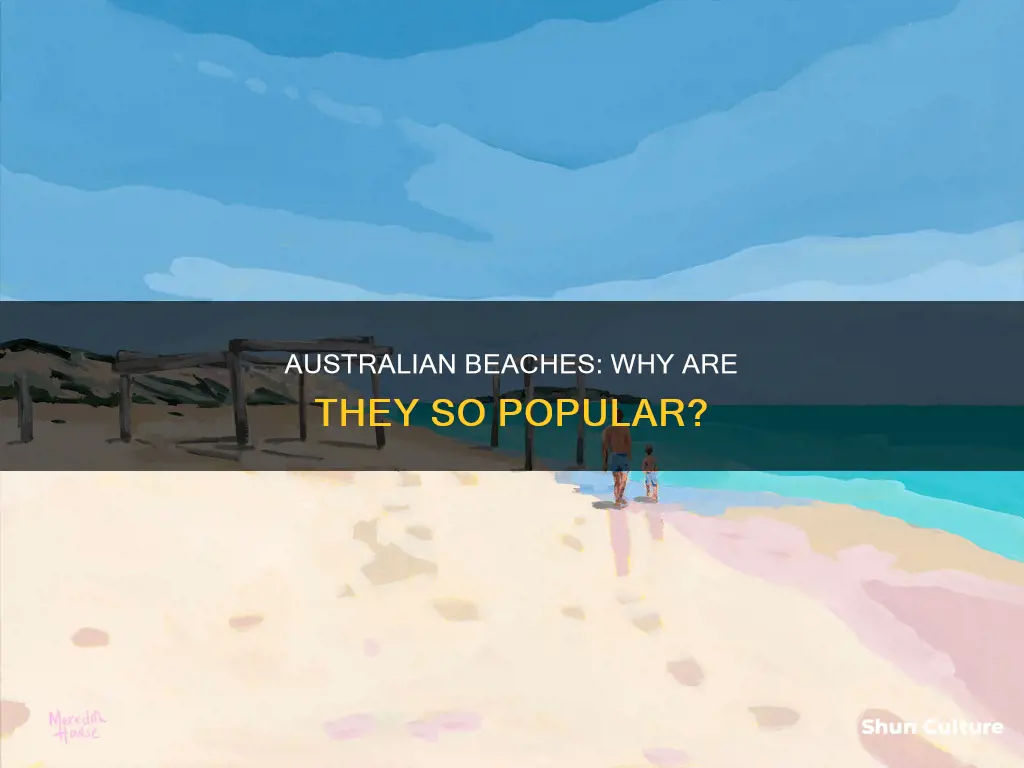 are the beaches in australia popular
