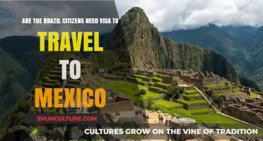 Do Brazilian Citizens Need a Visa for Mexico Travel?