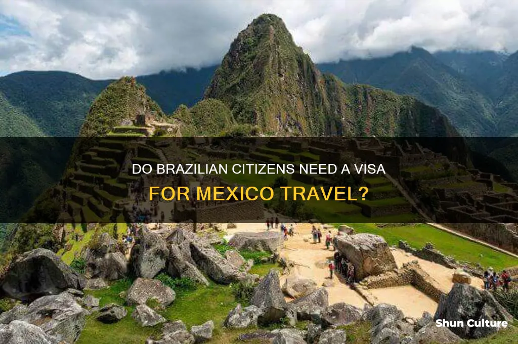 are the brazil citizens need visa to travel to mexico