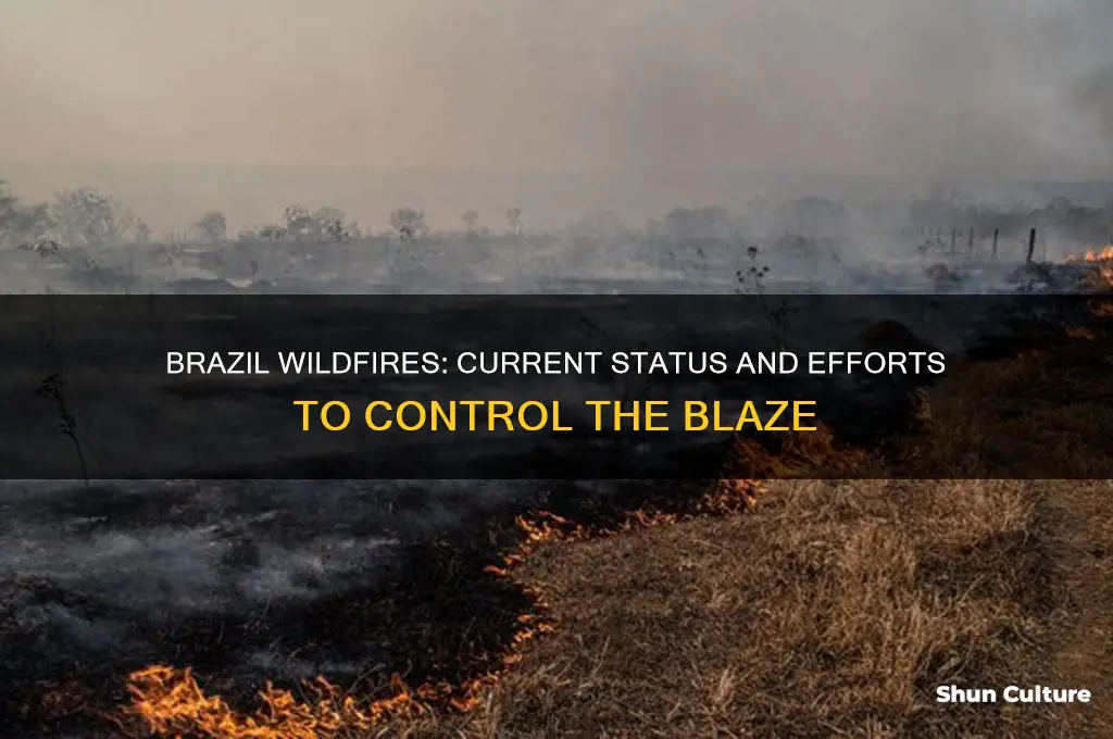 are the brazil wildfires in control