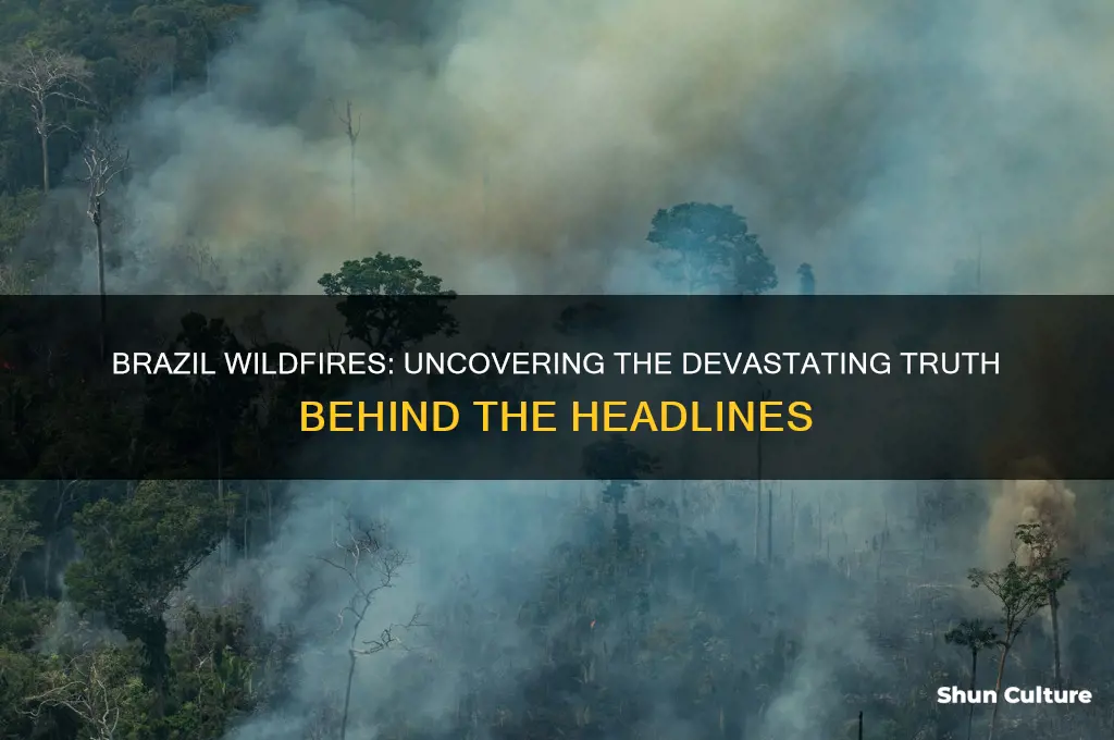 are the brazil wildfires really that bad