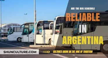 Exploring the Reliability of Bus Schedules in Argentina