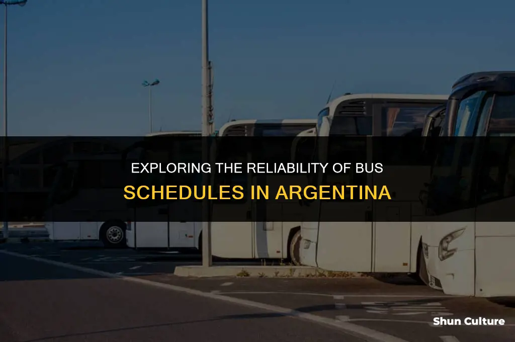 are the bus schedule reliable in argentina