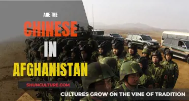 The Complex Presence of China in Afghanistan's Future