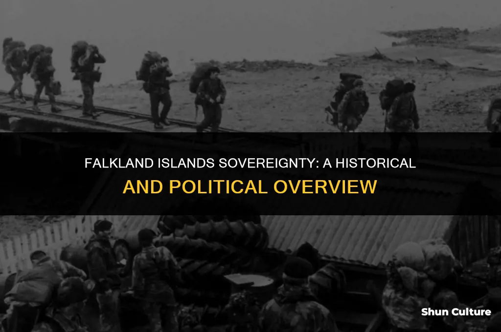 are the falkland islands part of argentina