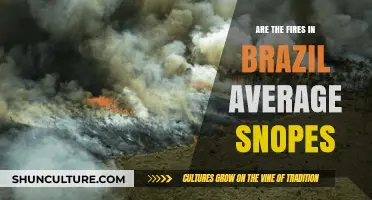 Are Brazil's Fires Average? Fact-Checking the Claims on Snopes