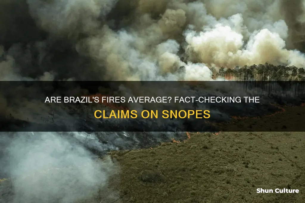 are the fires in brazil average snopes