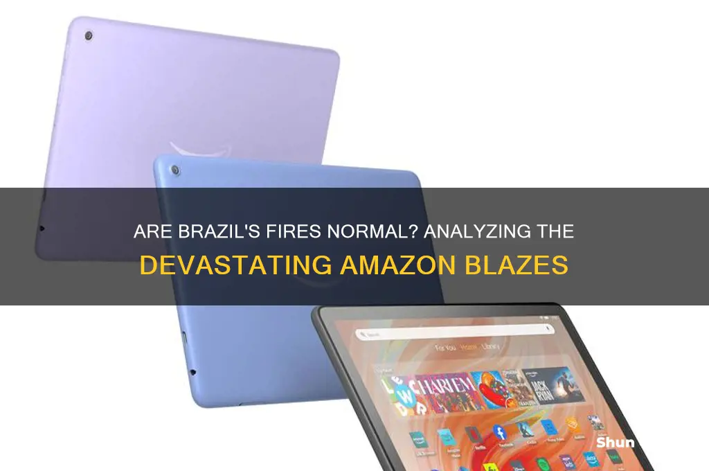 are the fires in brazil average