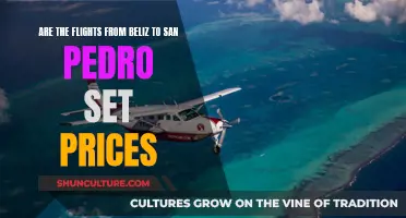 Belize to San Pedro: Fixed Flight Prices?