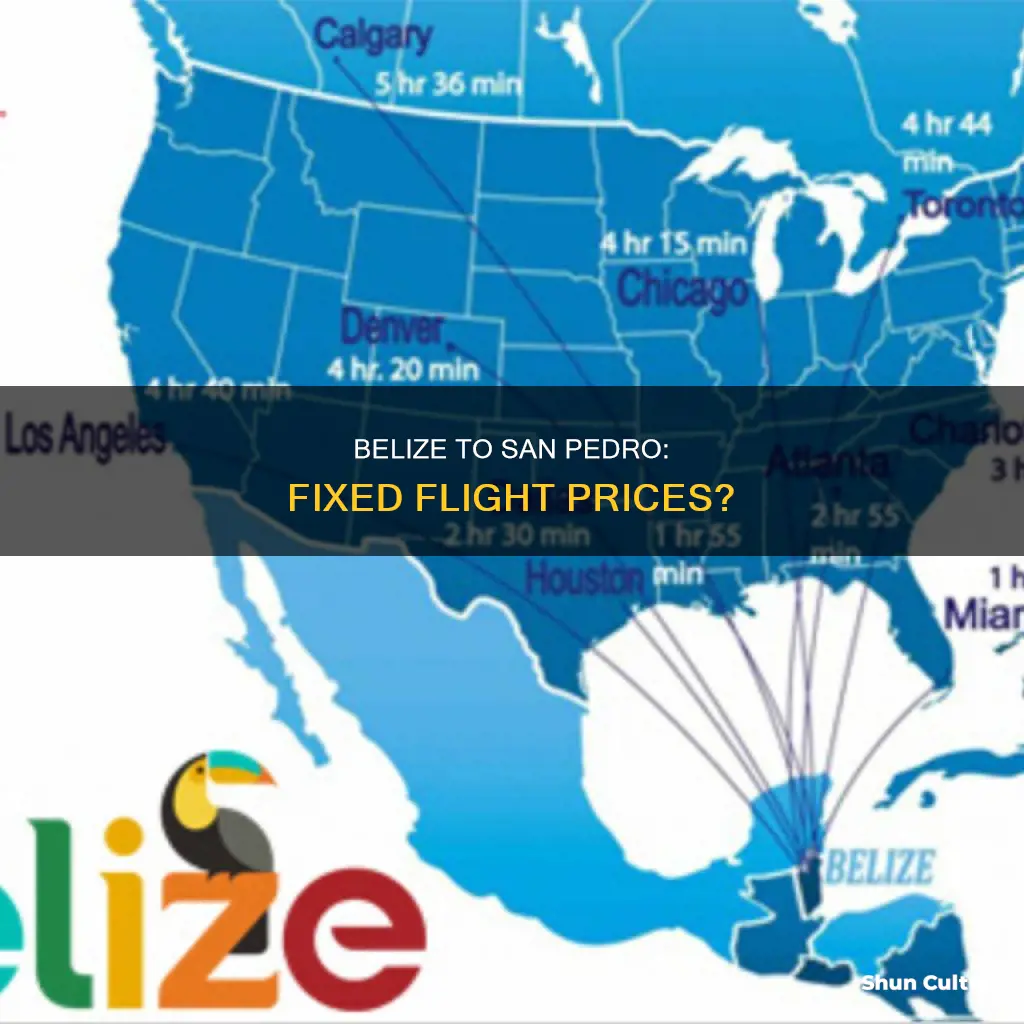 are the flights from beliz to san pedro set prices