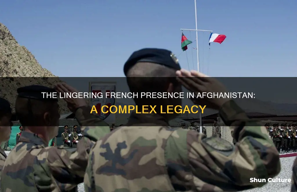 are the french still in afghanistan