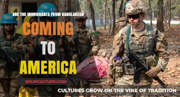 Bangladeshi Immigration to America: Trends, Challenges, and Opportunities