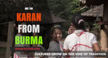 Unraveling the Origins: Are the Karan from Burma?