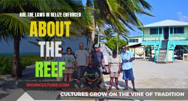 Belize's Reef: Laws and Enforcement