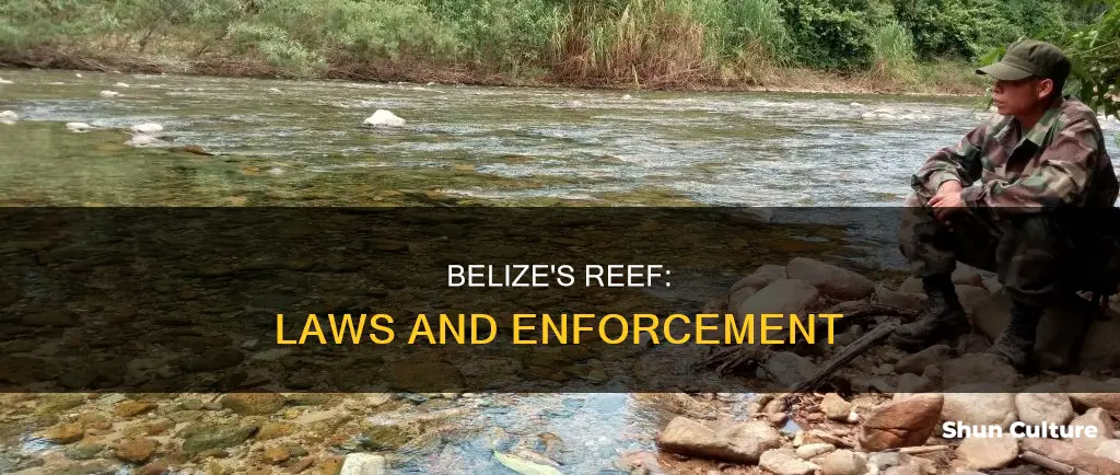 are the laws in belize enforced about the reef