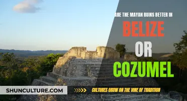 Mayan Ruins: Belize or Cozumel?