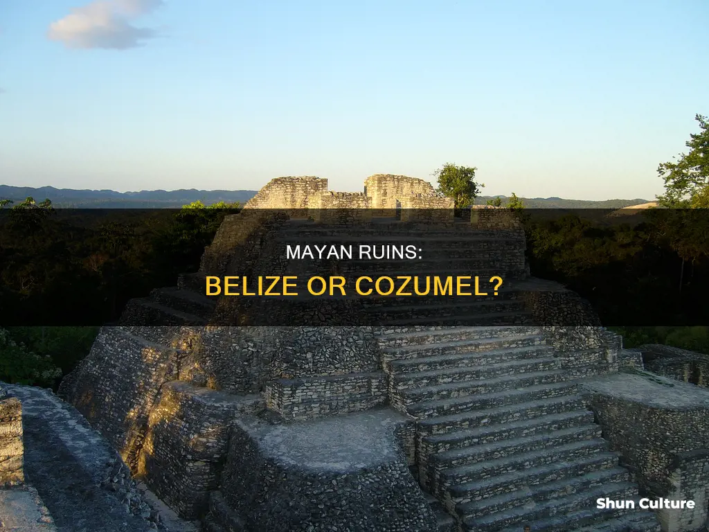 are the mayan ruins better in belize or cozumel