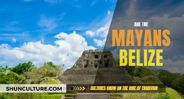 Belize's Mayan Legacy: A Rich Cultural History