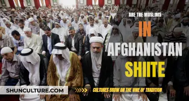 The Sectarian Divide: Exploring Shiite Presence in Afghanistan's Muslim Population