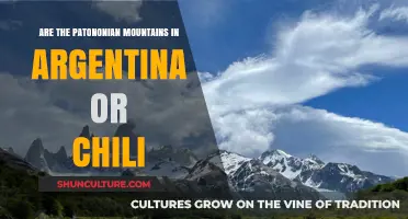Exploring the Patagonian Peaks: Argentina or Chile?