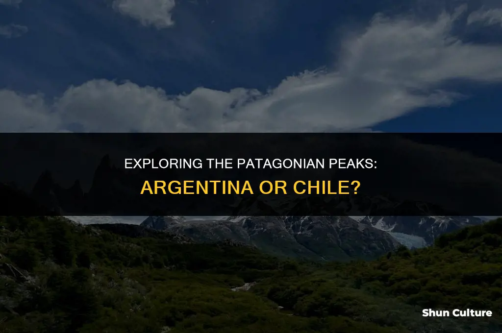 are the patononian mountains in argentina or chili