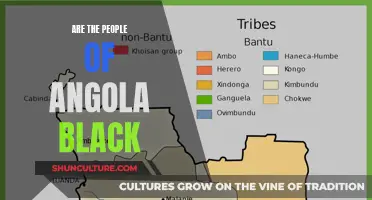 Angola's Population: A Black African Identity