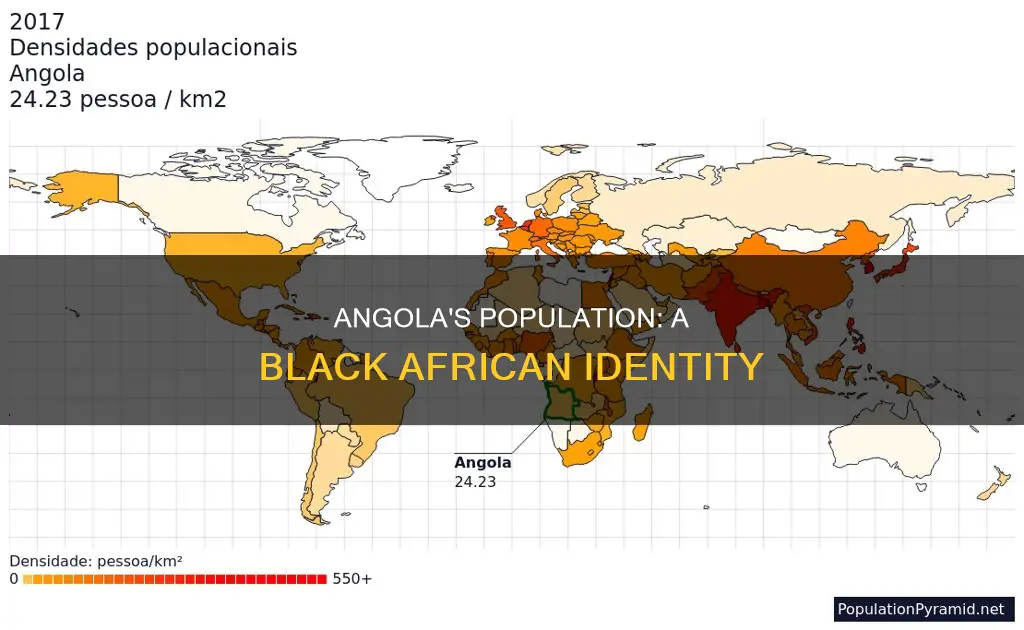 are the people of angola black