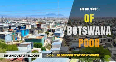 Are Botswana's Citizens Poor? Unveiling the Economic Reality and Misconceptions