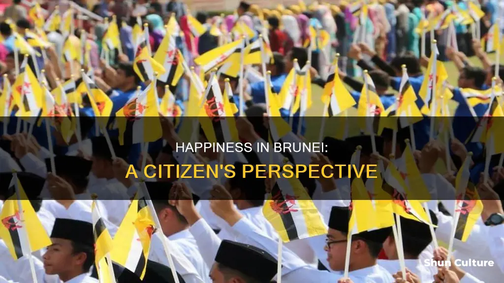 are the people of brunei happy