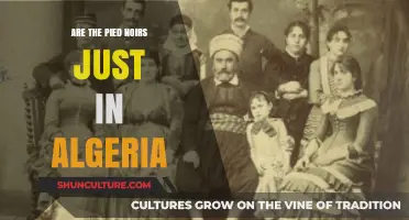 Exploring the Pied-Noir Presence Beyond Algeria: A Historical Overview