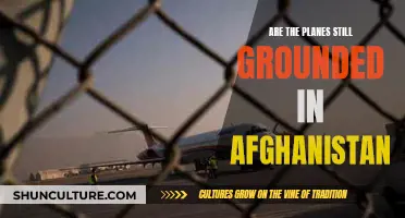 The Afghan Skies: Grounded Planes and a Nation's Stalled Progress