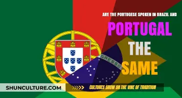 Brazilian vs. European Portuguese: Same Language, Different Flavors?
