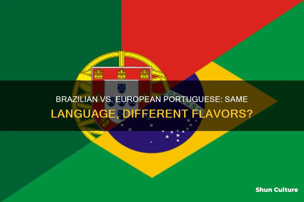 are the portugese spoken in brazil and portugal the same