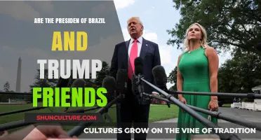 Brazil's President and Trump: A Friendship or Political Alliance?