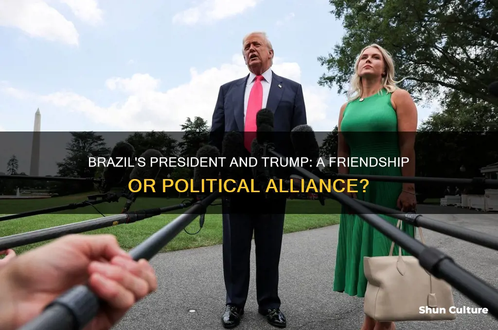 are the presiden of brazil and trump friends