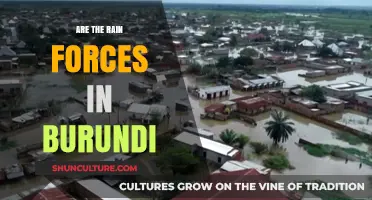 Unveiling Burundi's Rainfall Patterns: A Comprehensive Analysis