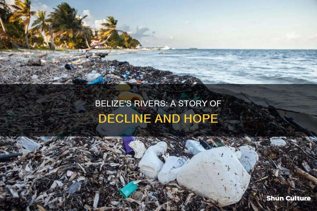 are the rivers dying in belize