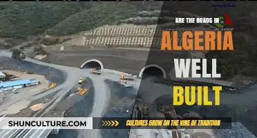 Algeria's Road Infrastructure: Quality, Challenges, and Future Improvements