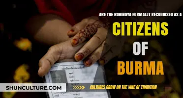 The Rohingya's Quest for Citizenship: A Burmese Dilemma