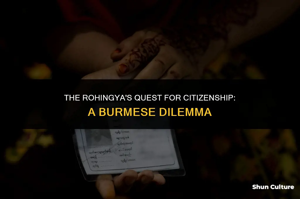 are the rohingya formally recognised as a citizens of burma