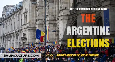 Election Interference: Unraveling the Russian Connection in Argentina