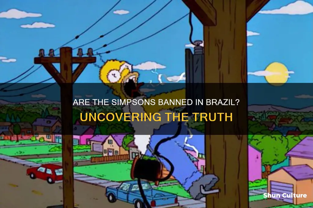 are the simpsons banned in brazil