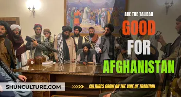 The Taliban's Rule: A Complex Reality for Afghanistan's Future