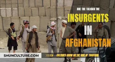 Understanding the Taliban's Insurgency in Afghanistan: A Complex Dynamic