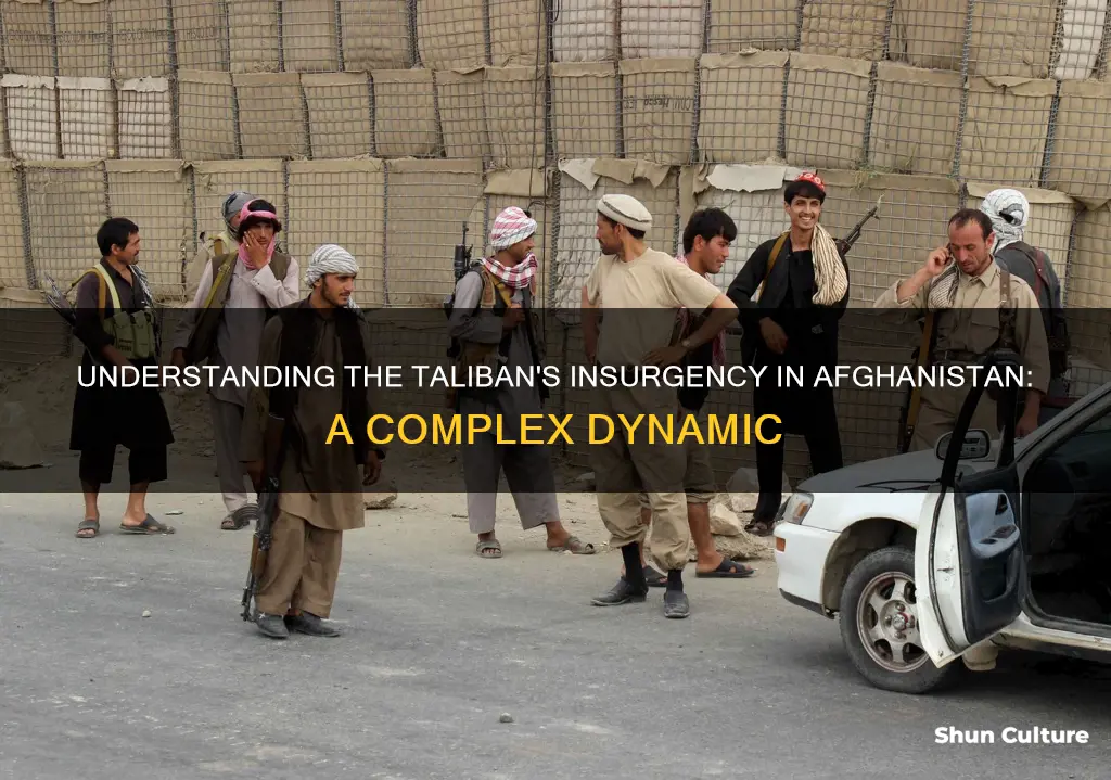 are the taliban the insurgents in afghanistan